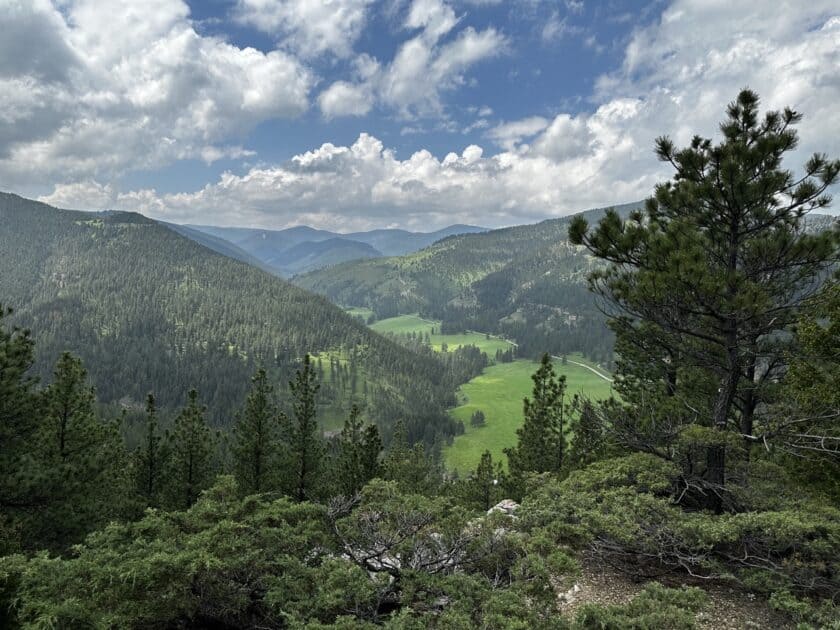 Logging Creek valley